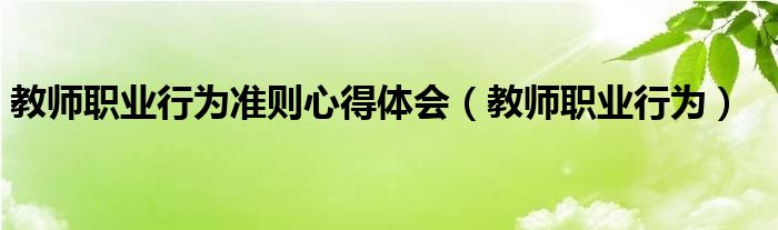 教师职业行为准则心得体会（教师职业行为）