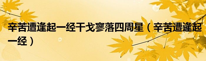 辛苦遭逢起一经干戈寥落四周星（辛苦遭逢起一经）