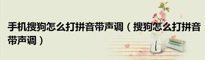 手机搜狗怎么打拼音带声调（搜狗怎么打拼音带声调）