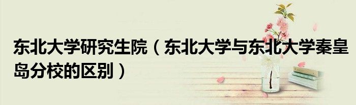 东北大学研究生院（东北大学与东北大学秦皇岛分校的区别）