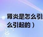 肾炎是怎么引起的 原因有哪些（小儿肾炎怎么引起的）