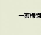 一剪梅翻译英文（一剪梅翻译）