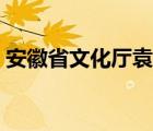 安徽省文化厅袁华简历（安徽省文化厅网站）