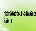 首领的小猫全文阅读（首领的小猫全文免费阅读）