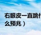右眼皮一直跳什么预兆男性（右眼皮一直跳什么预兆）