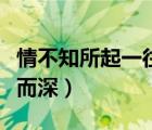 情不知所起一往而深电视剧（情不知所起一往而深）