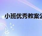 小班优秀教案公开课视频（小班优秀教案）