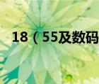 18（55及数码单反机上1855是什么意思）