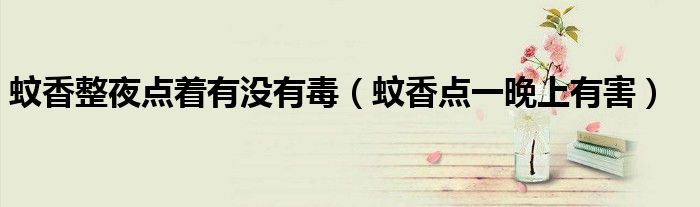 蚊香整夜点着有没有毒（蚊香点一晚上有害）