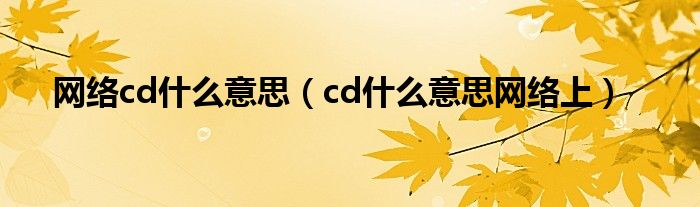 网络cd什么意思（cd什么意思网络上）