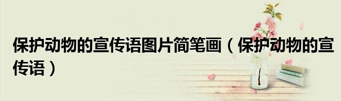 保护动物的宣传语图片简笔画（保护动物的宣传语）