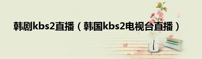 韩剧kbs2直播（韩国kbs2电视台直播）