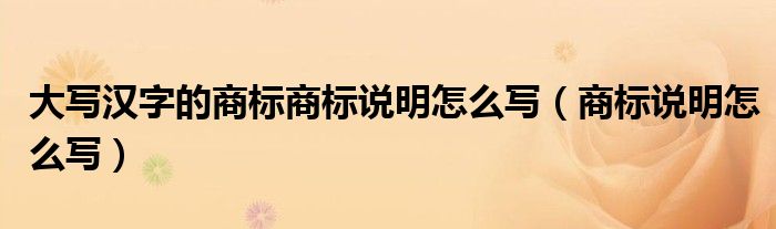 大写汉字的商标商标说明怎么写（商标说明怎么写）
