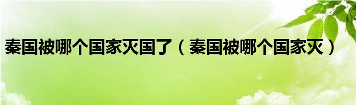 秦国被哪个国家灭国了（秦国被哪个国家灭）