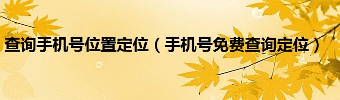 查询手机号位置定位（手机号免费查询定位）