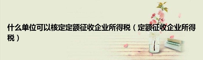 什么单位可以核定定额征收企业所得税（定额征收企业所得税）