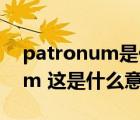 patronum是什么意思（Expecto Patronum 这是什么意思）