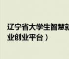 辽宁省大学生智慧就业创业平台密码（辽宁省大学生智慧就业创业平台）