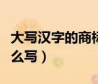 大写汉字的商标商标说明怎么写（商标说明怎么写）