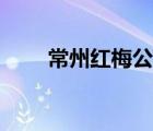 常州红梅公园梅花（常州红梅公园）