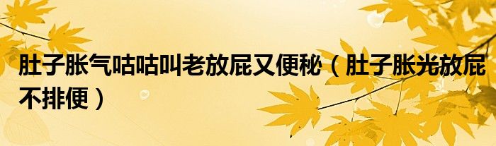 肚子胀气咕咕叫老放屁又便秘（肚子胀光放屁不排便）