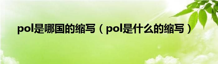 pol是哪国的缩写（pol是什么的缩写）