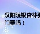 汉阳陵银杏林要门票吗现在（汉阳陵银杏林要门票吗）