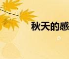 秋天的感觉短文（秋天的感觉）
