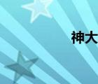 神大蛇小说（神大蛇）