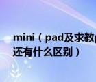mini（pad及求教pad及air和mini及pad除了大小不一样还有什么区别）