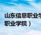 山东信息职业学院是公办还是民办（山东信息职业学院）