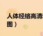 人体经络高清动图（最全经络高清动图,经络图）