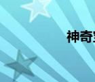 神奇宝贝女主角含乳量