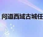 问道西域古城任务及奖励（问道推广员奖励）
