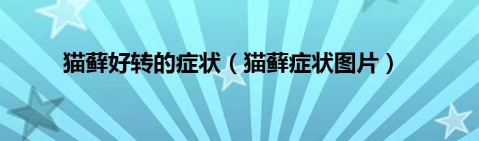 猫藓好转的症状（猫藓症状图片）