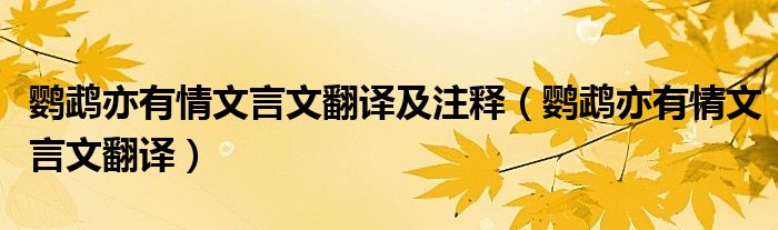 鹦鹉亦有情文言文翻译及注释（鹦鹉亦有情文言文翻译）