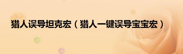 猎人误导坦克宏（猎人一键误导宝宝宏）