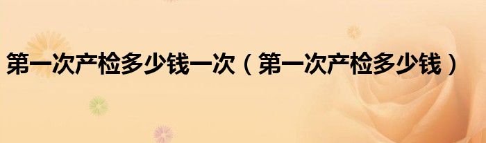 第一次产检多少钱一次（第一次产检多少钱）
