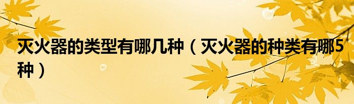 灭火器的类型有哪几种（灭火器的种类有哪5种）