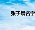 张子晨名字的意思是什么（张子晨）