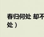 春归何处 却不解带将愁去什么意思（春归何处）