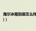 海尔冰箱到底怎么样（海尔冰箱怎么样(海尔冰箱质量好不好)）