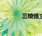 三棱锥立体图（四棱锥图片）
