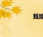 甄嬛传全集免费网站