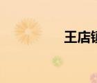 王店镇曝书亭（王店镇）