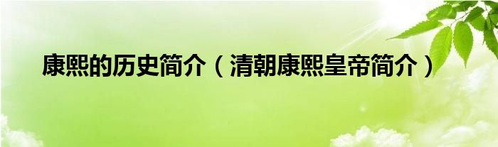 康熙的历史简介（清朝康熙皇帝简介）