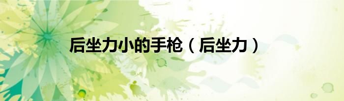 后坐力小的手枪（后坐力）