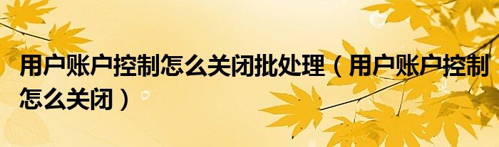 用户账户控制怎么关闭批处理（用户账户控制怎么关闭）