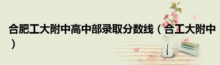 合肥工大附中高中部录取分数线（合工大附中）