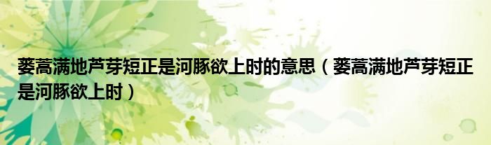 蒌蒿满地芦芽短正是河豚欲上时的意思（蒌蒿满地芦芽短正是河豚欲上时）